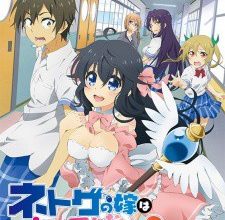 انمي Netoge no Yome wa Onnanoko ja Nai to Omotta?
الحلقة 1 كاملة